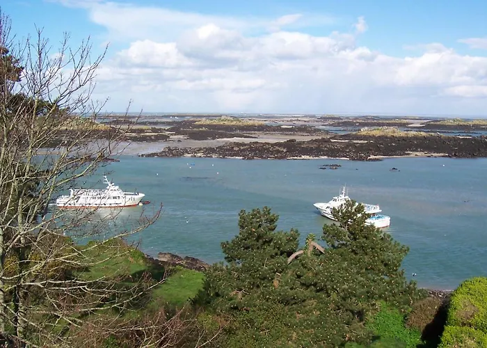 Les Salicornes Dragey